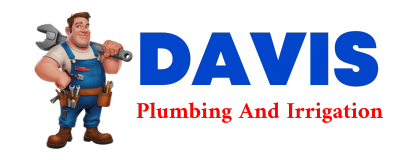 Trusted plumber in SNOW LAKE